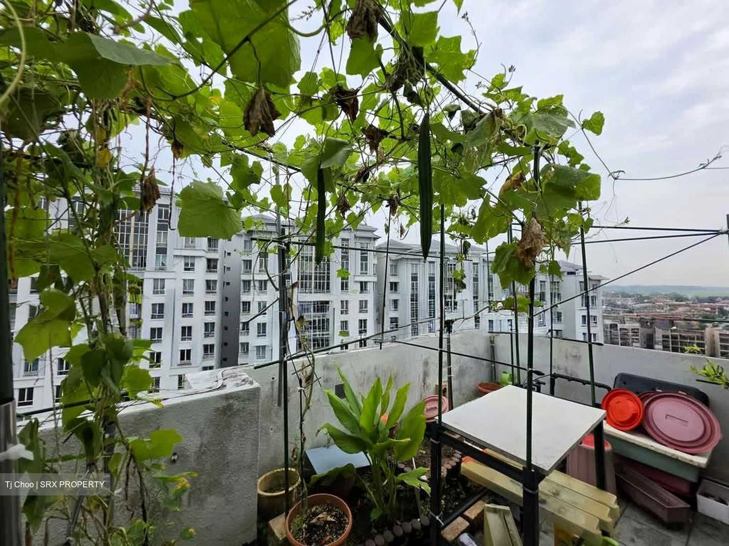 Yishun Sapphire (D27), Condominium #589685911
